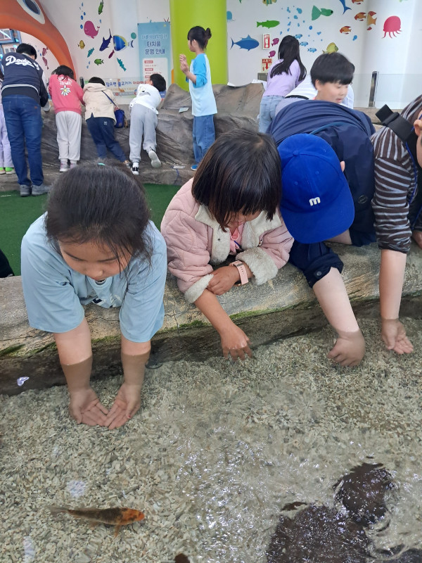 dbe466b43aae6590ad6d0d6723912443_1749041