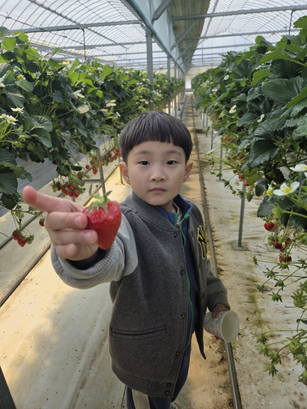 9f734da5ad294f832cd2198f9be8e6aa_1775888