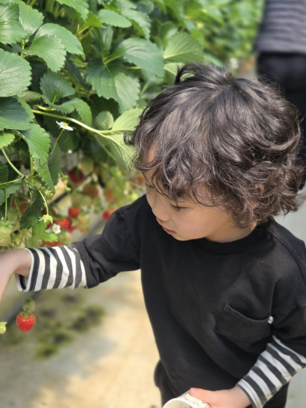 9f734da5ad294f832cd2198f9be8e6aa_1775888